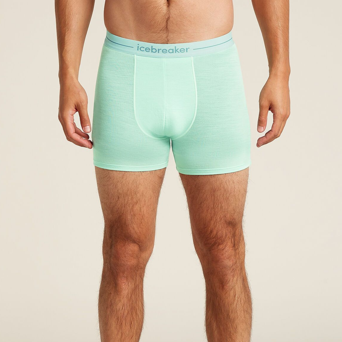 Herrboxershorts merinoull 150 Anatomica Boxers Icebreaker mint
