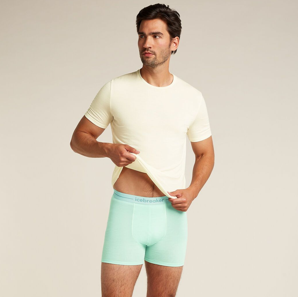 Herrboxershorts merinoull 150 Anatomica Boxers Icebreaker mint