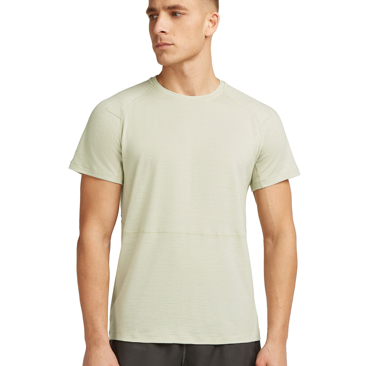 Herr T-shirt Merino 200 Waffle Elevation SS Tee Icebreaker aschen