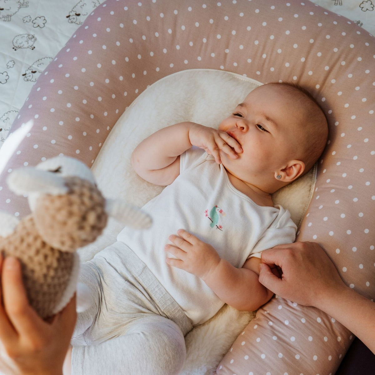 Babynest och amningskudde för bebis 2-i-1 med fårull prick