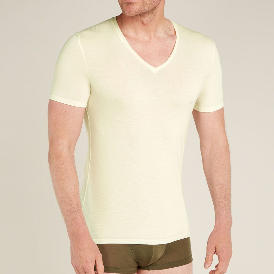 Herr t-shirt Merino 150 Anatomica SS V Icebreaker Ofärgad