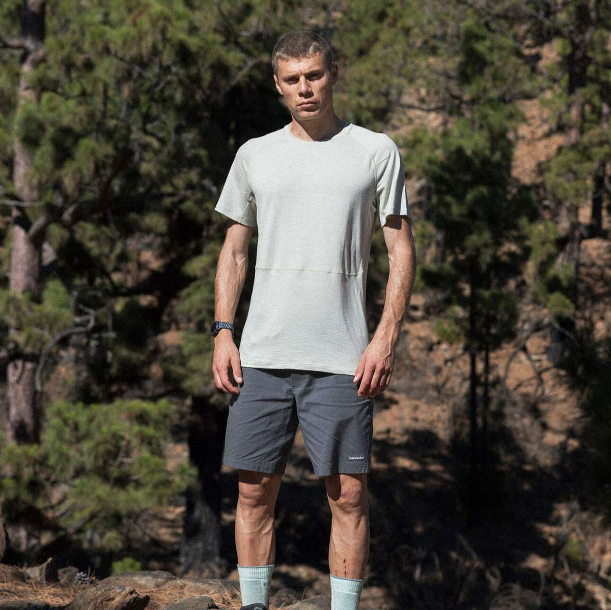 Herr T-shirt Merino 200 Waffle Elevation SS Tee Icebreaker aschen