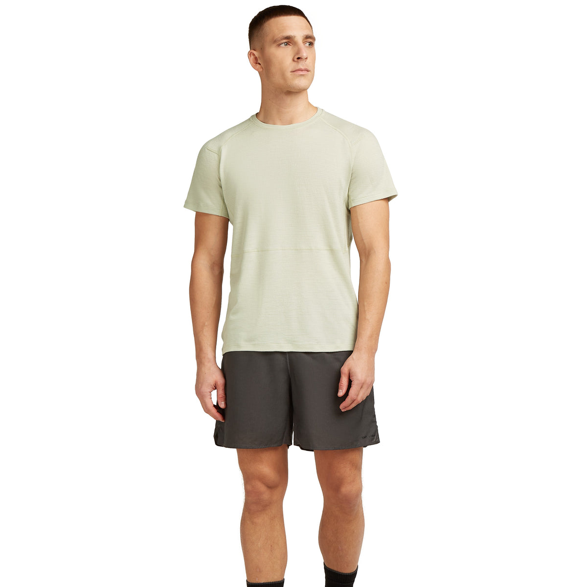 Herr T-shirt Merino 200 Waffle Elevation SS Tee Icebreaker aschen